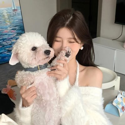 黑猫扎飞