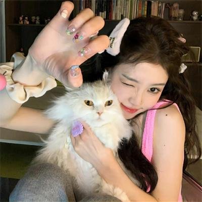 恶搞之家第二十二季