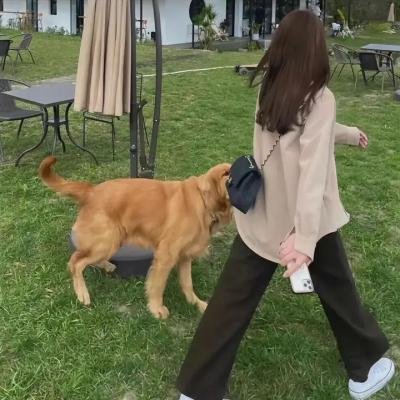 恋爱星求人粤语